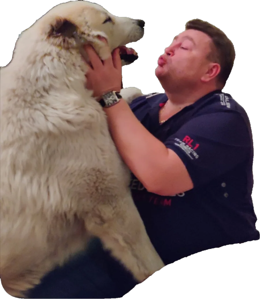 The collector greeting his alabai, a large white Central Asian shepherd
